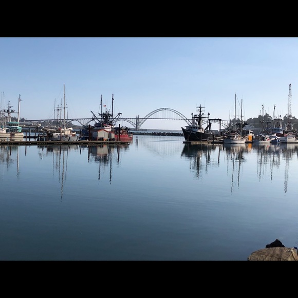 Meet your Posher, Lisa - Picture 1 of 1